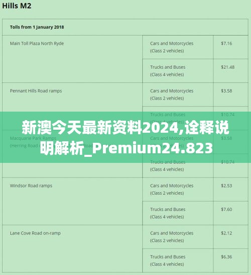 新澳2025正版全年谒后语,详细解答、解释与落实